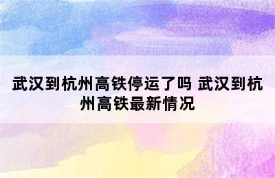 武汉到杭州高铁停运了吗 武汉到杭州高铁最新情况